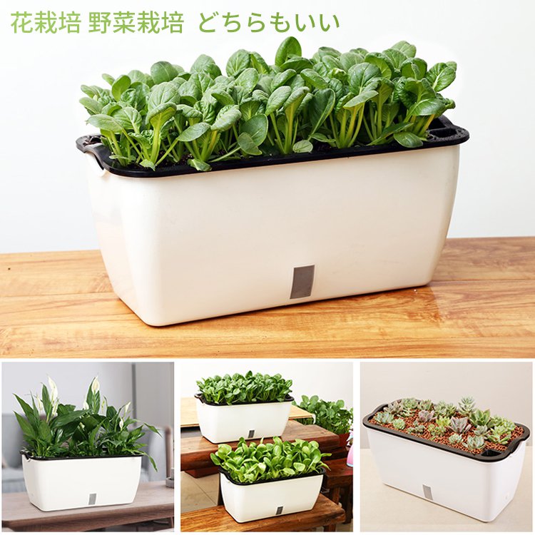 自己給水プランター