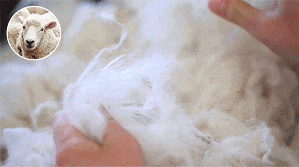 cf14d37ae270db6d9a14b8f50a15628a.gif