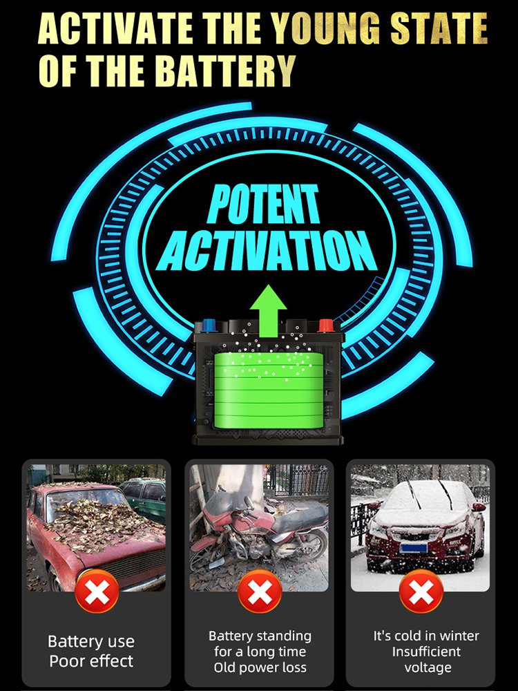 E-FAST Automotive Battery Charger