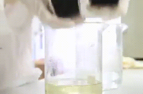 bhj_15.gif