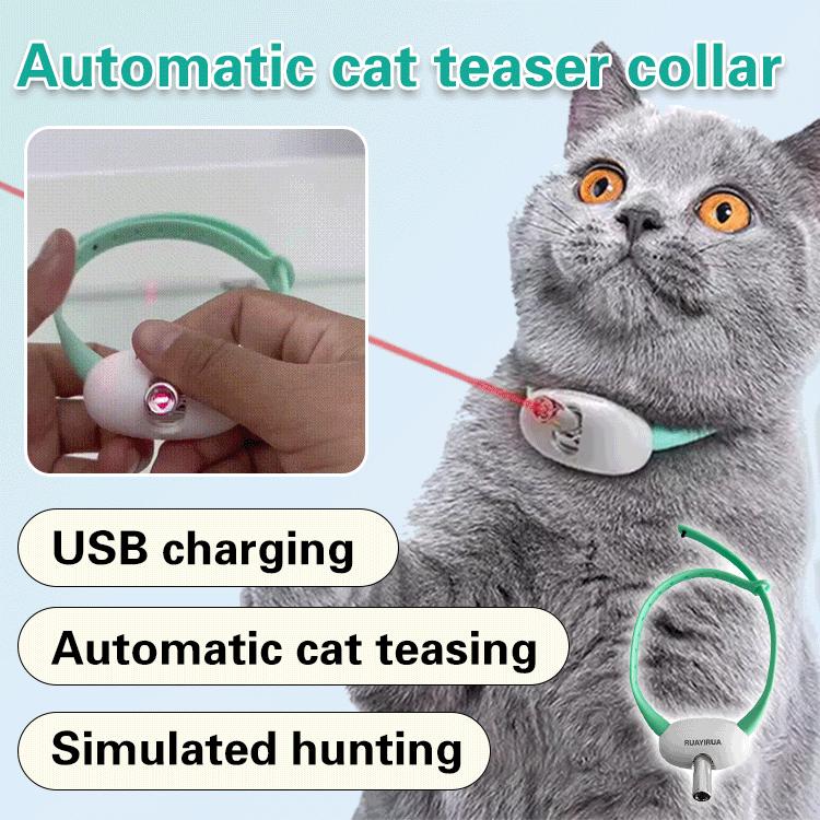 Automatic cat teaser collar