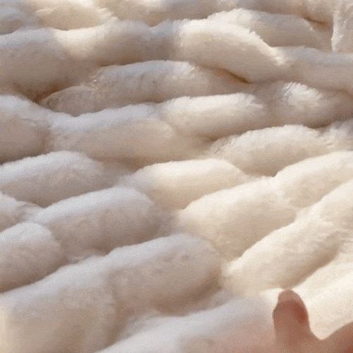 6.gif