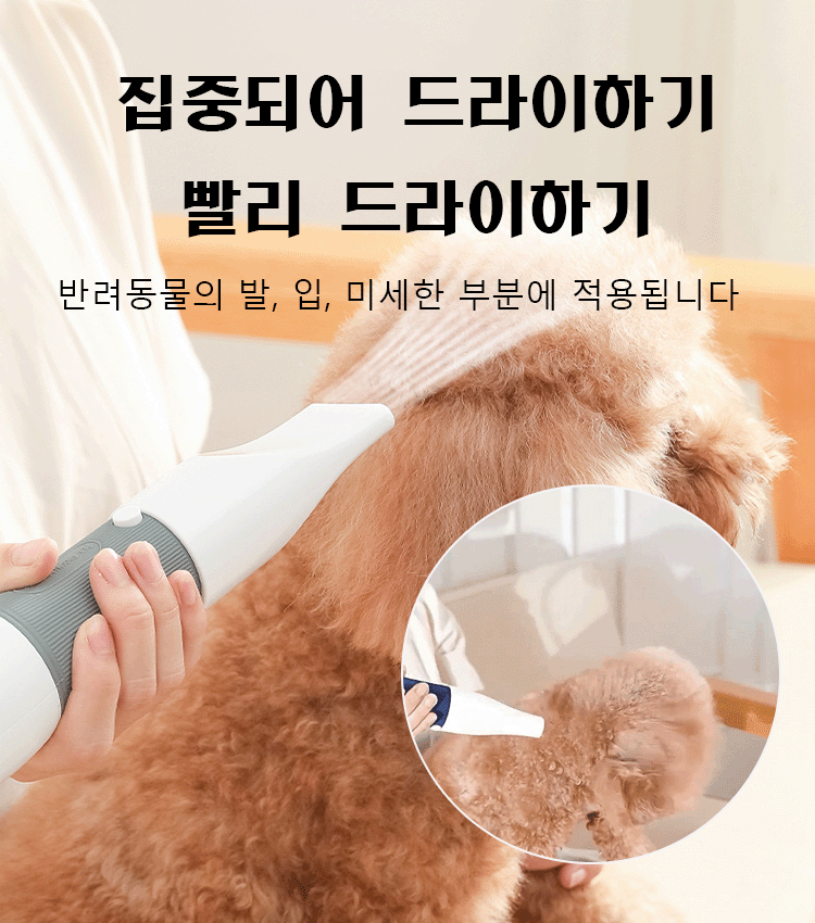 3in1 반려동물 빗드라이기