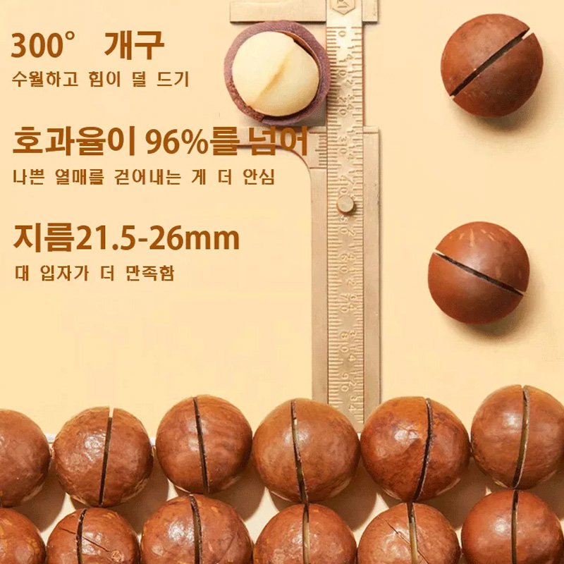  마카다미아 (우유향)