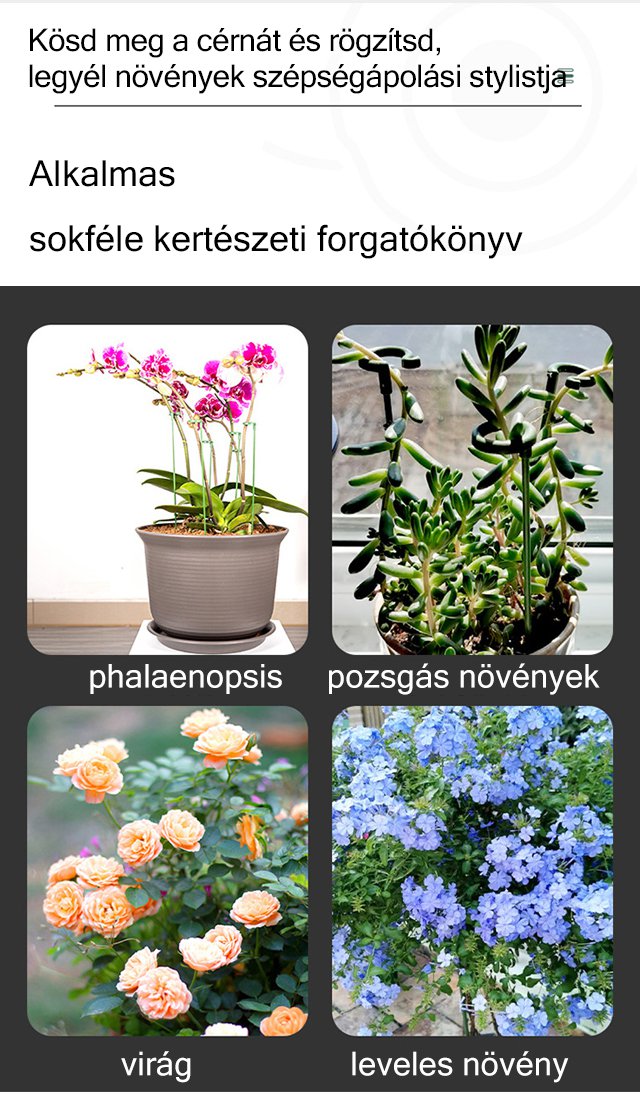 Növény virágtámogatás különböző méretekben