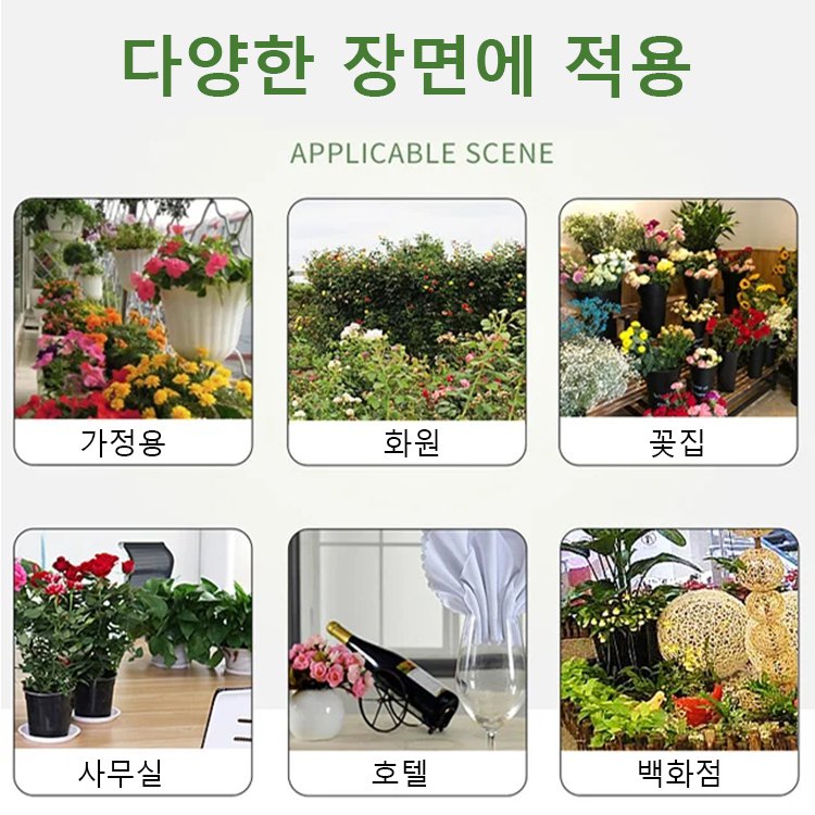 식물 뿌리 영양제