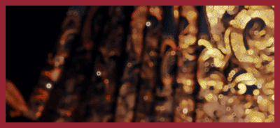 123_06.gif