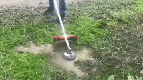 01.gif