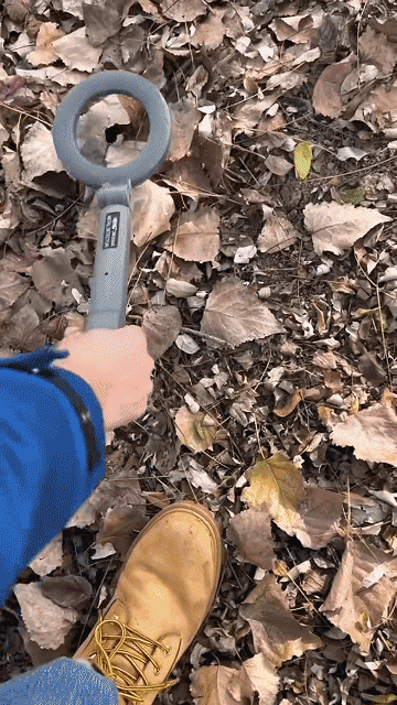 20231108-于欢-1126553-TH-FM-手持式高灵敏金属探测仪-1005559108_21.gif