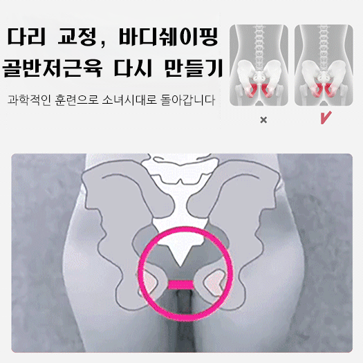 골반저근육 트레이닝 기구