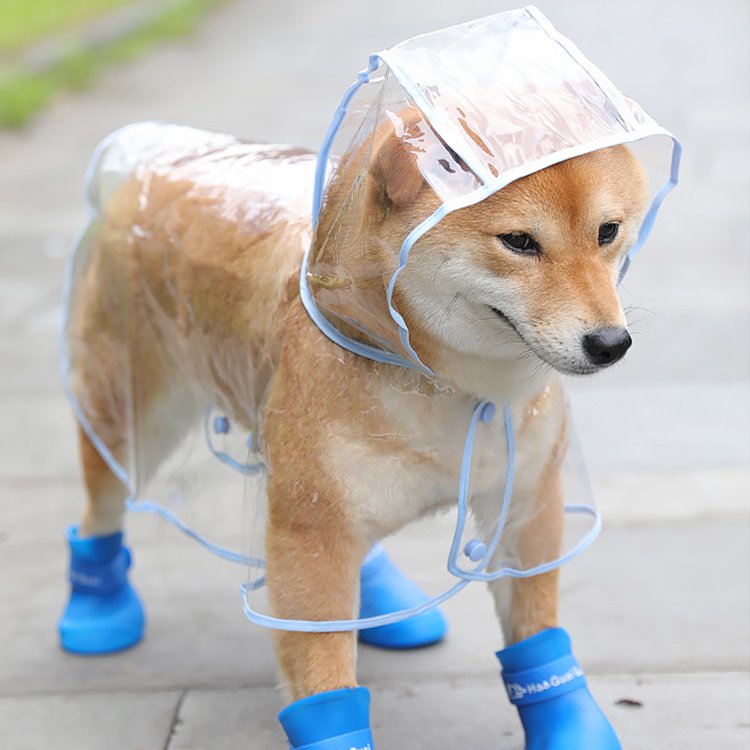 犬用レインコート