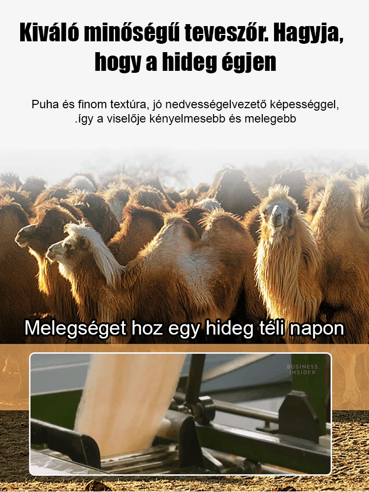 Multifunkcionális 2 az 1-ben párnás paplan