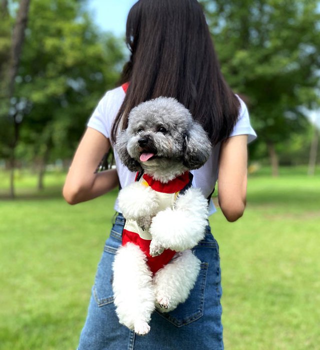 ペット通気抱っこひも