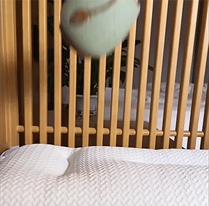 详情_23-1.gif
