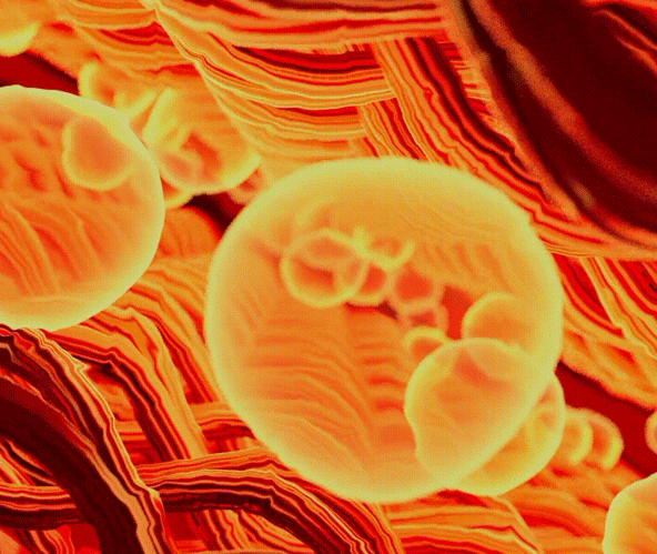 a1771a6e115a095fd224e2d8e86f7732.gif