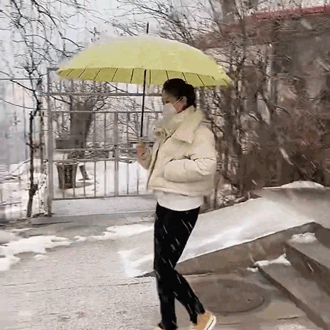 超軽量超撥水24本骨傘