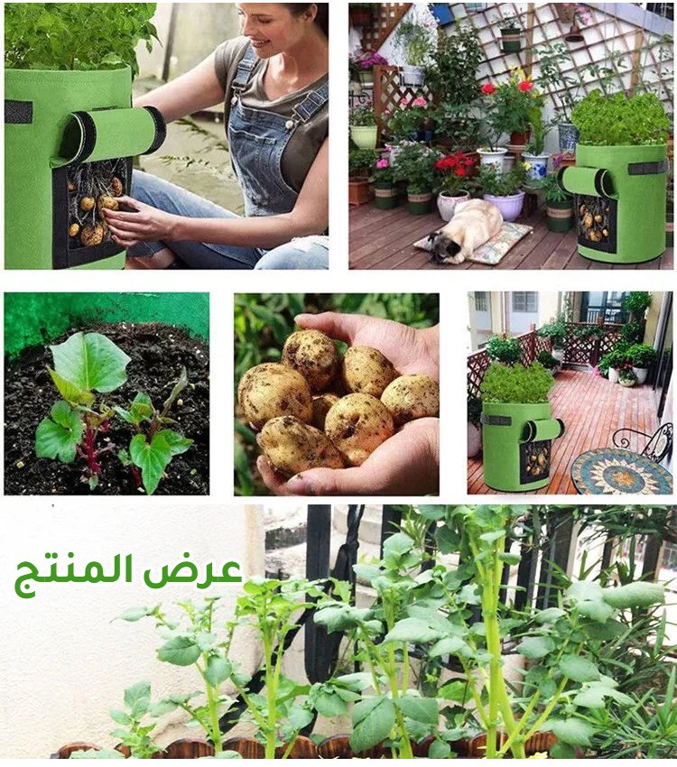 كيس زراعة البطاط من قماش غير منسوج