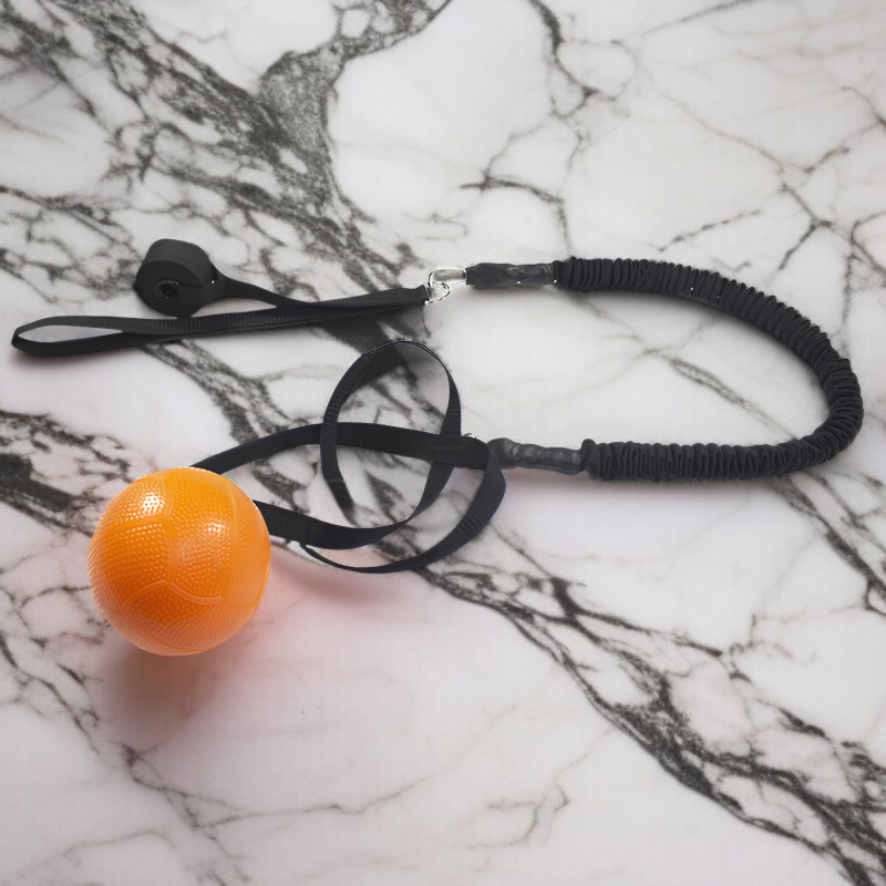 実心球トレーニングロープ全体画像