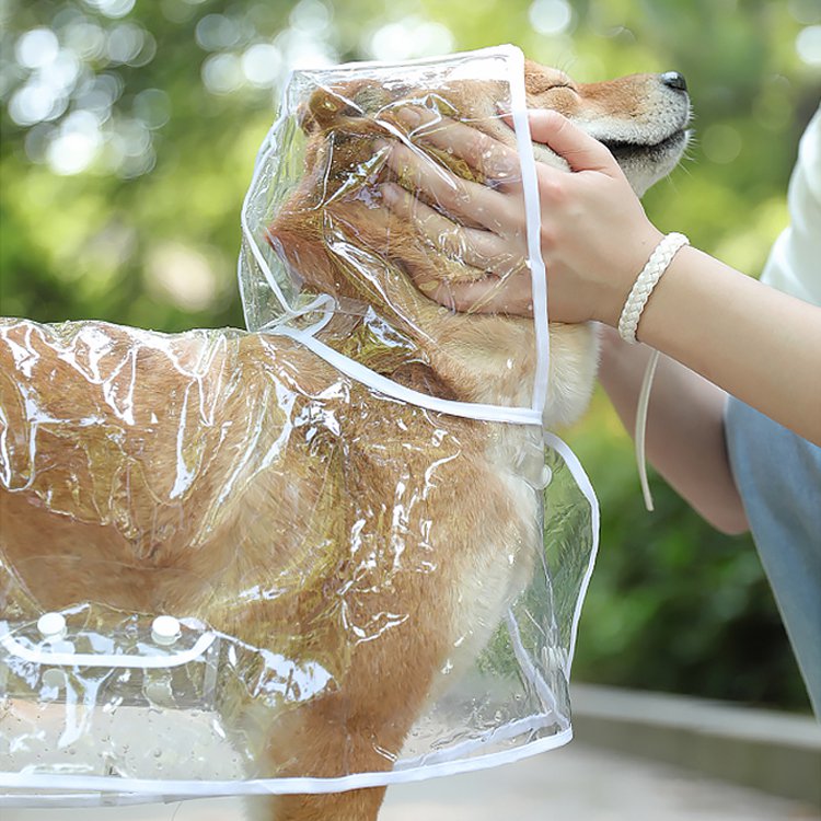 犬用レインコート