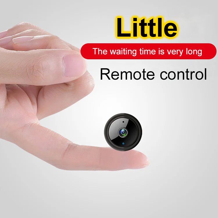 Remote monitoring wireless camera