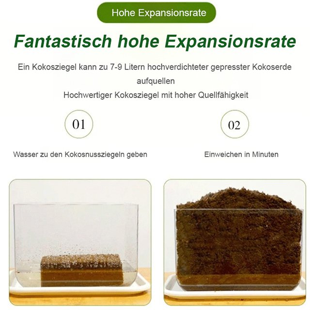 [Organischer natürlicher Kokosnuss-Ziegel]Grüner Pflanzennährboden