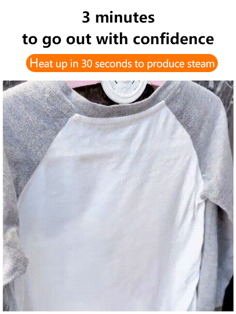 Portable Handheld Garment Steamer