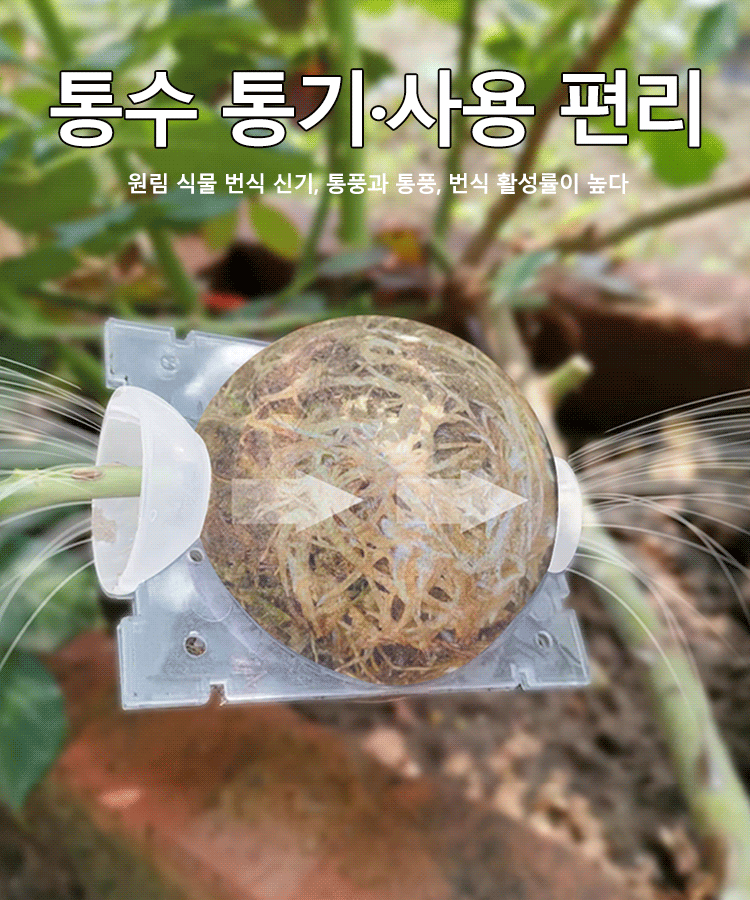 식물 고압 번식 상자