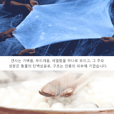 새로운 프린트 실크 이불