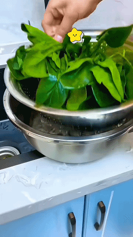 日语_14 (2).gif